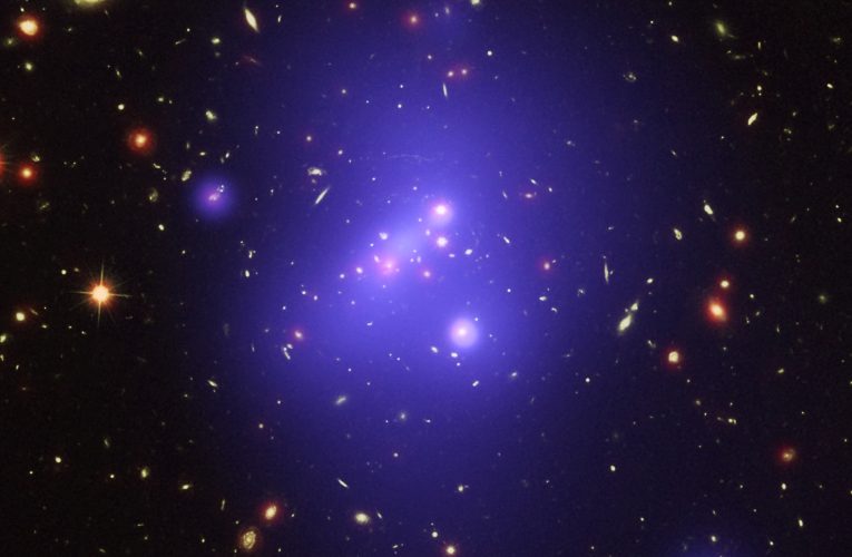 Hubble Perceives Compact Known Dark Matter Clusters